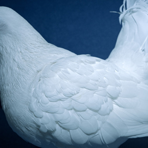 李华月的农夫一家人
