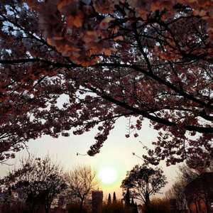 李华月的农夫一家人
