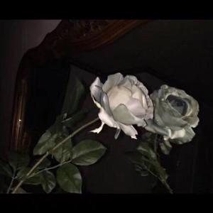 李华月的农夫一家人
